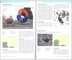 FIELD GUIDE TO THE WILDLIFE OF SOUTHWEST CHINA 4
