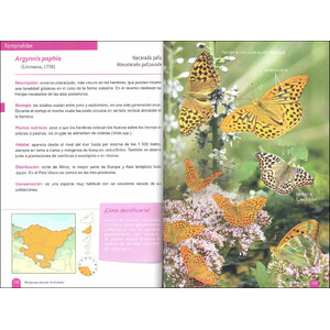 MARIPOSAS DIURNAS DE EUSKADI 3