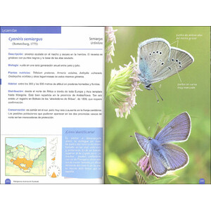 MARIPOSAS DIURNAS DE EUSKADI 4