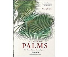 MARTIUS. THE BOOK OF PALMS          