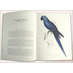 THE PARROTS. DIE PAPAGEIEN. LES PERROQUETS: THE COMPLETE PLATES 4
