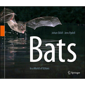 BATS: IN THE WORLD OF ECHOES