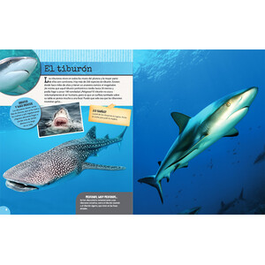 LOS ANIMALES DEL MAR 3