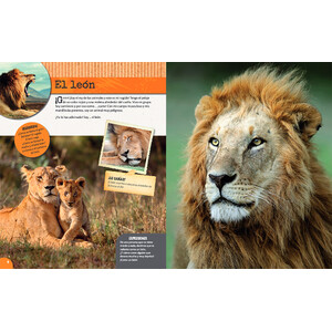 LOS ANIMALES DE LA SABANA_1