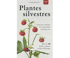 PLANTES SILVESTRES. GUIA PER CONÈIXER LES COMESTIBLES I DISTINGIR-LES