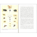 THE WONDERFUL MR WILLUGHBY: THE FIRST TRUE ORNITHOLOGIST 4