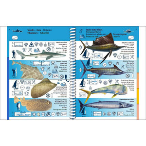 MARINE PICTOLIFE. MACARONESIA_1