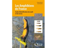 LES AMPHIBIENS DE FRANCE. GUIDE D\'IDENTIFICATION DES OEUFS ET DES LARVES 