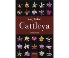 L'ORCHIDÉE CATTLEYA