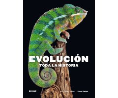 EVOLUCIÓN. TODA LA HISTORIA                                                                                                                           