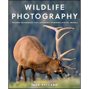 WILDLIFE PHOTOGRAPHY PROVEN TECHNIQUES FOR CAPTURING STUNNING DIGITAL IMAGES