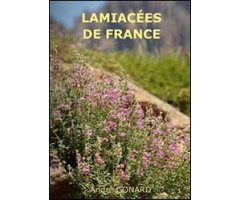 LAMIACÉES DE FRANCE 2
