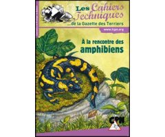 À LA RENCONTRE DES AMPHIBIENS                 