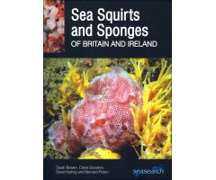 SEA SQUIRTS AND SPONGES OF BRITAIR AND IRELAND