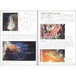 SEA SQUIRTS AND SPONGES OF BRITAIR AND IRELAND_1