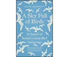 A SKY FULL OF BIRDS