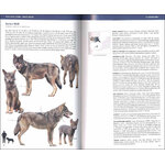 CANIDS OF THE WORLD. WOLVES, WILD DOGS, FOXES, JACKALS, COYOTES, AND THEIR RELATIVES 3