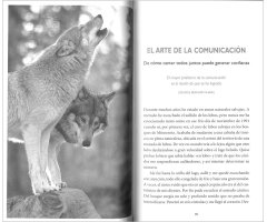 LA SABIDURÍA DE LOS LOBOS 2