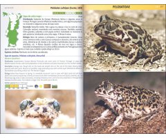 ANFÍBIOS E RÉPTEIS DE PORTUGAL/AMPHIBIANS AND REPTILES OF PORTUGAL 2
