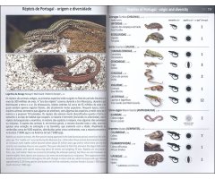 ANFÍBIOS E RÉPTEIS DE PORTUGAL/AMPHIBIANS AND REPTILES OF PORTUGAL 3