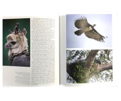 THE EMPIRE OF THE EAGLE: AN ILLUSTRATED NATURAL HISTORY 4