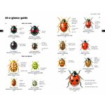 FIELD GUIDE TO THE LADYBIRDS OF BRITAIN AND IRELAND 3