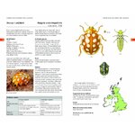 FIELD GUIDE TO THE LADYBIRDS OF BRITAIN AND IRELAND 4