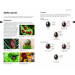 FIELD GUIDE TO THE LADYBIRDS OF BRITAIN AND IRELAND 6