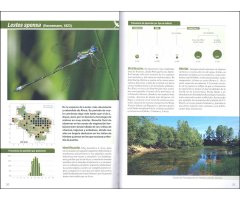 ATLAS DE LAS LIBÉLULAS DE ÁLAVA 3