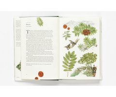 AROUND THE WORLD IN 80 TREES_1