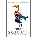 SKELETONS, THE FRAME OF LIFE