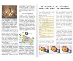 L'AMBRE. MIEL DE FORTUNE ET MÉMOIRE DE VIE 2