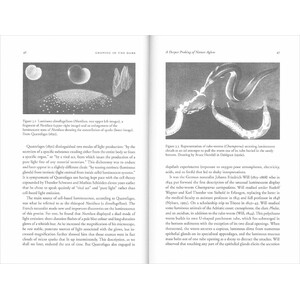 LUMINOUS CREATURES: THE HISTORY AND SCIENCE OF LIGHT PRODUCTION IN LIVING ORGANISMS_1