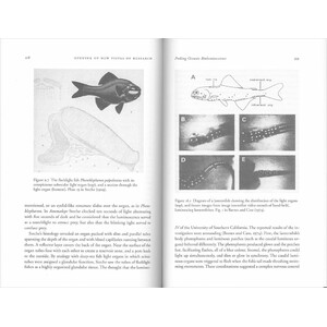 LUMINOUS CREATURES: THE HISTORY AND SCIENCE OF LIGHT PRODUCTION IN LIVING ORGANISMS 4