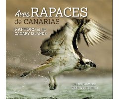 AVES RAPACES DE CANARIAS. RAPTORS OF THE CANARY ISLAND.