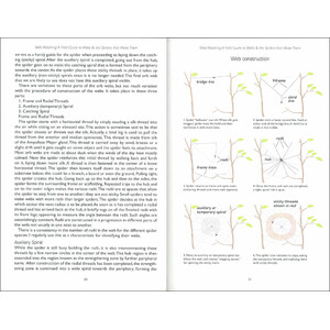 WEB WATCHING: A GUIDE TO WEBS & THE SPIDERS THAT MAKE THEM_1