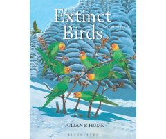 EXTINCT BIRDS.
