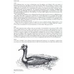 EXTINCT BIRDS._1