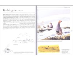 LE COMPORTEMENT DES OISEAUX D'EUROPE 2