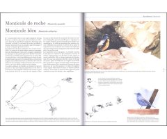 LE COMPORTEMENT DES OISEAUX D'EUROPE 4