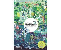 DAY & NIGHT: RAINFOREST