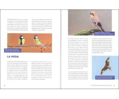 EL EXTRAORDINARIO MUNDO DE LAS AVES 2