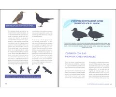 EL EXTRAORDINARIO MUNDO DE LAS AVES 3