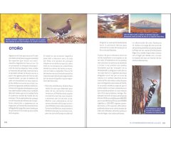 EL EXTRAORDINARIO MUNDO DE LAS AVES 4