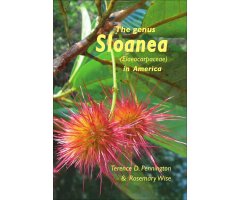 THE GENUS SLOANEA (ELAEOCARPACEAE) IN AMERICA