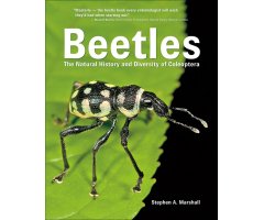 BEETLES: THE NATURAL HISTORY AND DIVERSITY OF COLEOPTERA