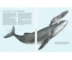 MIGRACIONES. LOS INCREÍBLES VIAJES DE LOS ANIMALES 3