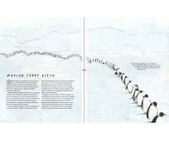 MIGRACIONES. LOS INCREÍBLES VIAJES DE LOS ANIMALES 4