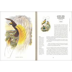 AVES EXTRAORDINARIAS_1