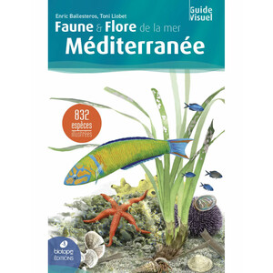 FAUNE &AMP; FLORE DE LA MER MÉDITERRANÉE